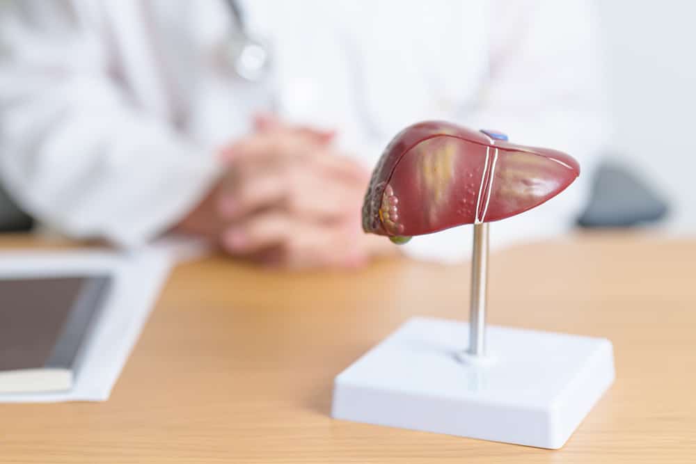 salute fegato piloti linea studio evidenzia rischi