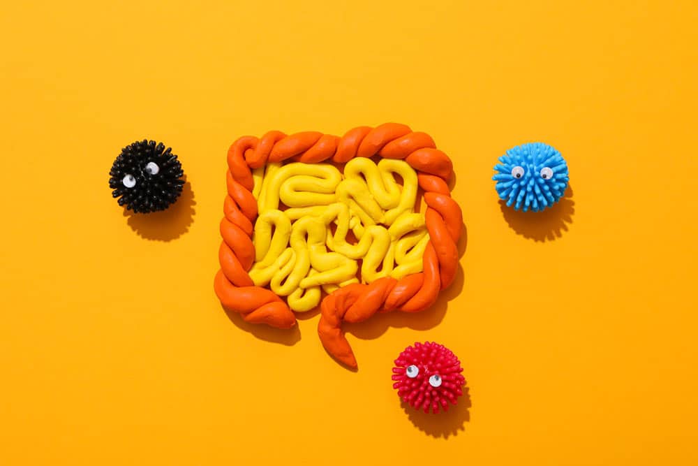 piloti astronauti microbiota come lavoro spazio influenza salute umana (1)